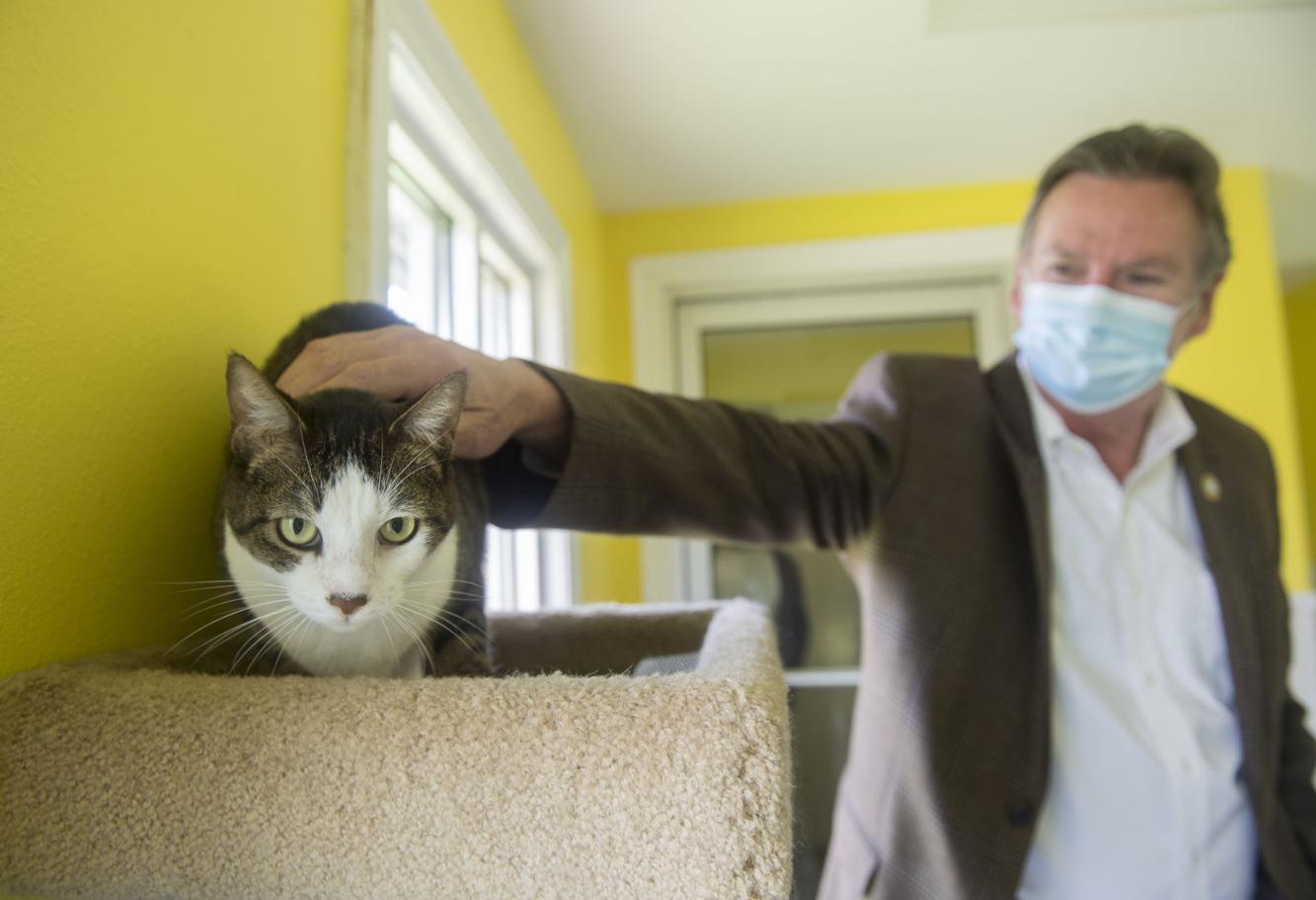 Photos St. Tammany Animal Shelter looking for new director after complaints about animal