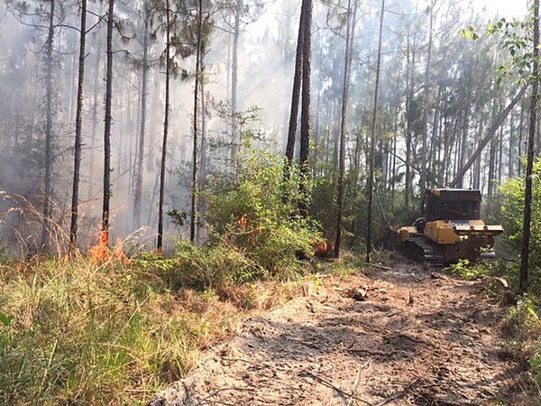 Crews Battling Large Woods Fire In Big Branch Refuge On North Shore ...