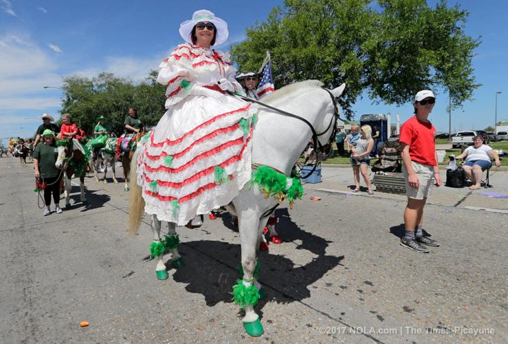 St. Bernard Irish Italian Islenos parade Photos Archive