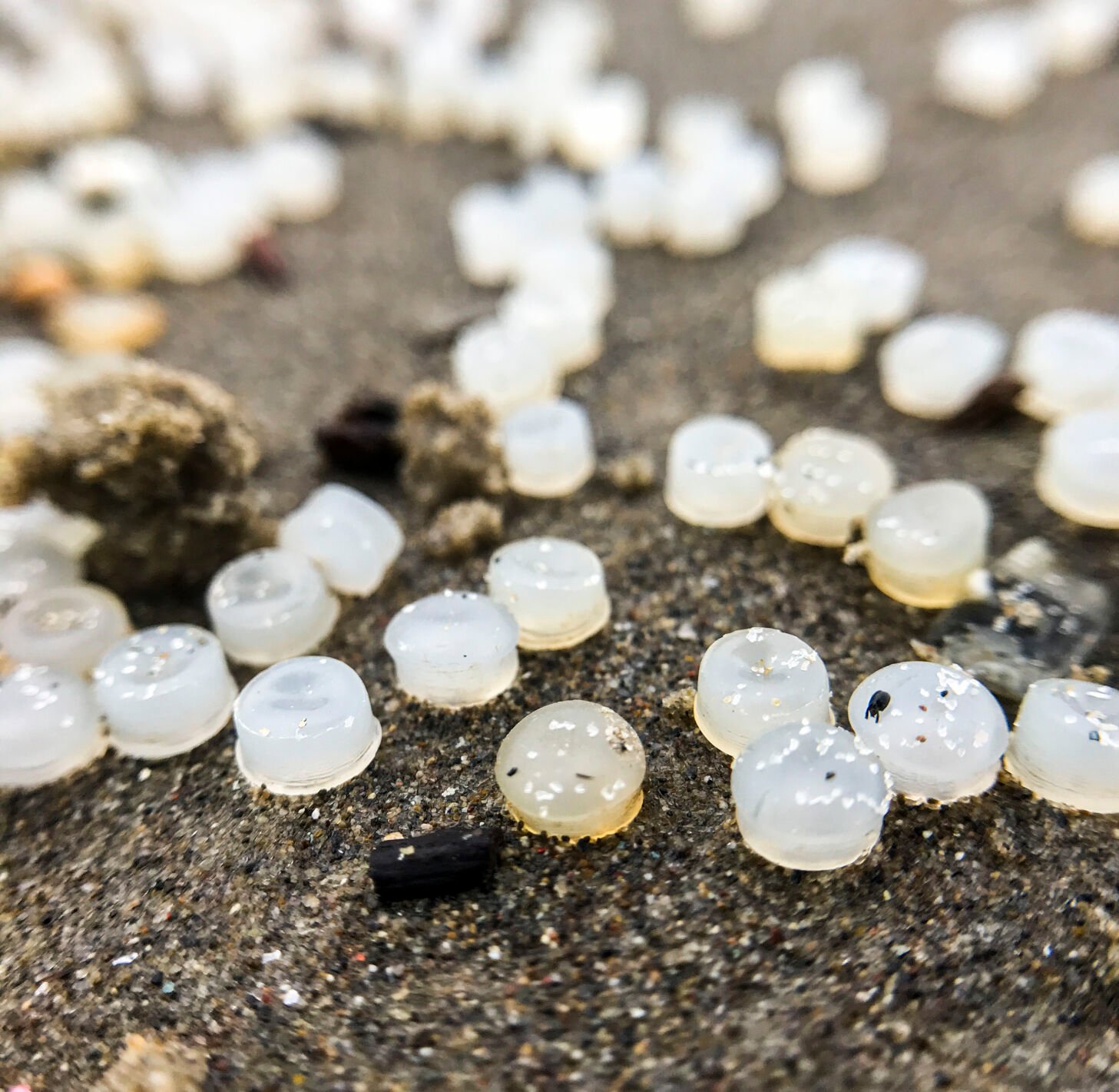 Nurdle Spill Cleanup Is 'too Little, Too Late' As Plastic Pellets ...