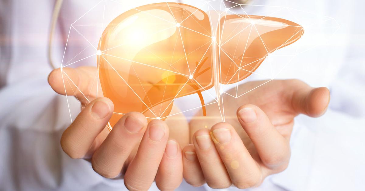 New fatty liver drug shows promise in Tulane study | Health care/Hospitals New fatty liver drug shows promise in Tulane study | Health care/Hospitals