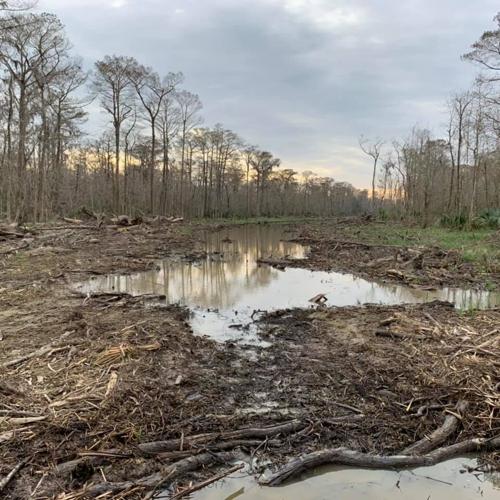 No permit required for Maurepas diversion if it part of West Shore levee project Corps