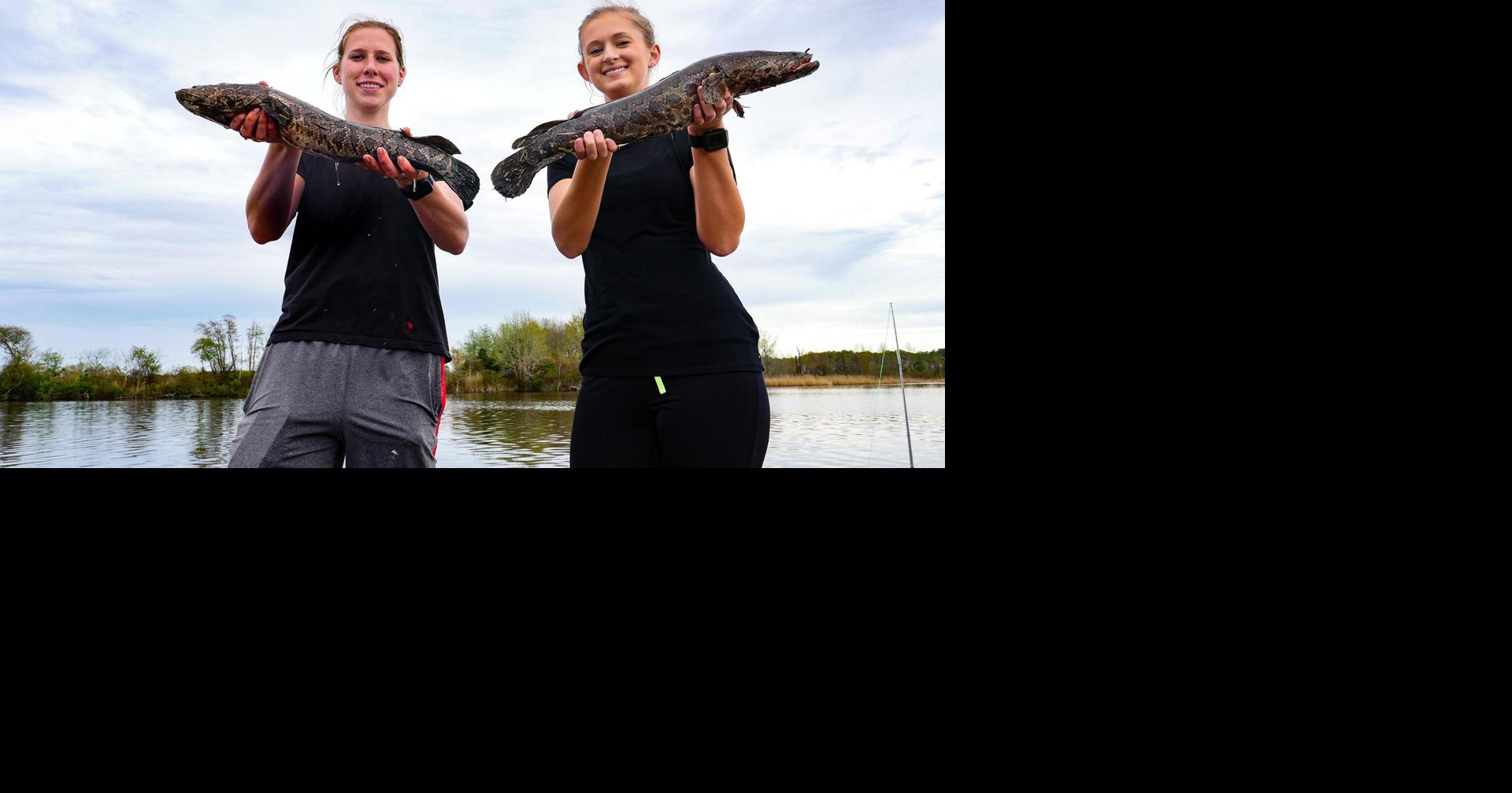 How to identify, kill and eat Louisiana’s newest invader: the northern snakehead fish