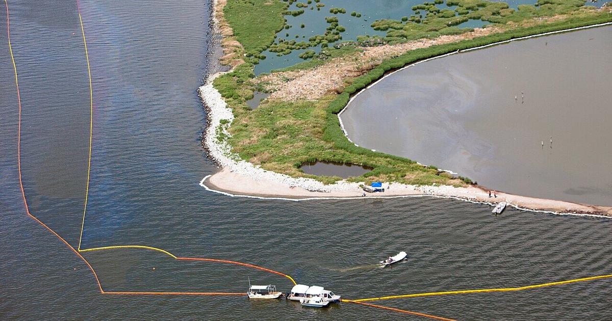 Looking back: The impact of the BP oil spill on Louisiana’s commercial menhaden fishing industry Looking back: The impact of the BP oil spill on Louisiana’s commercial menhaden fishing industry