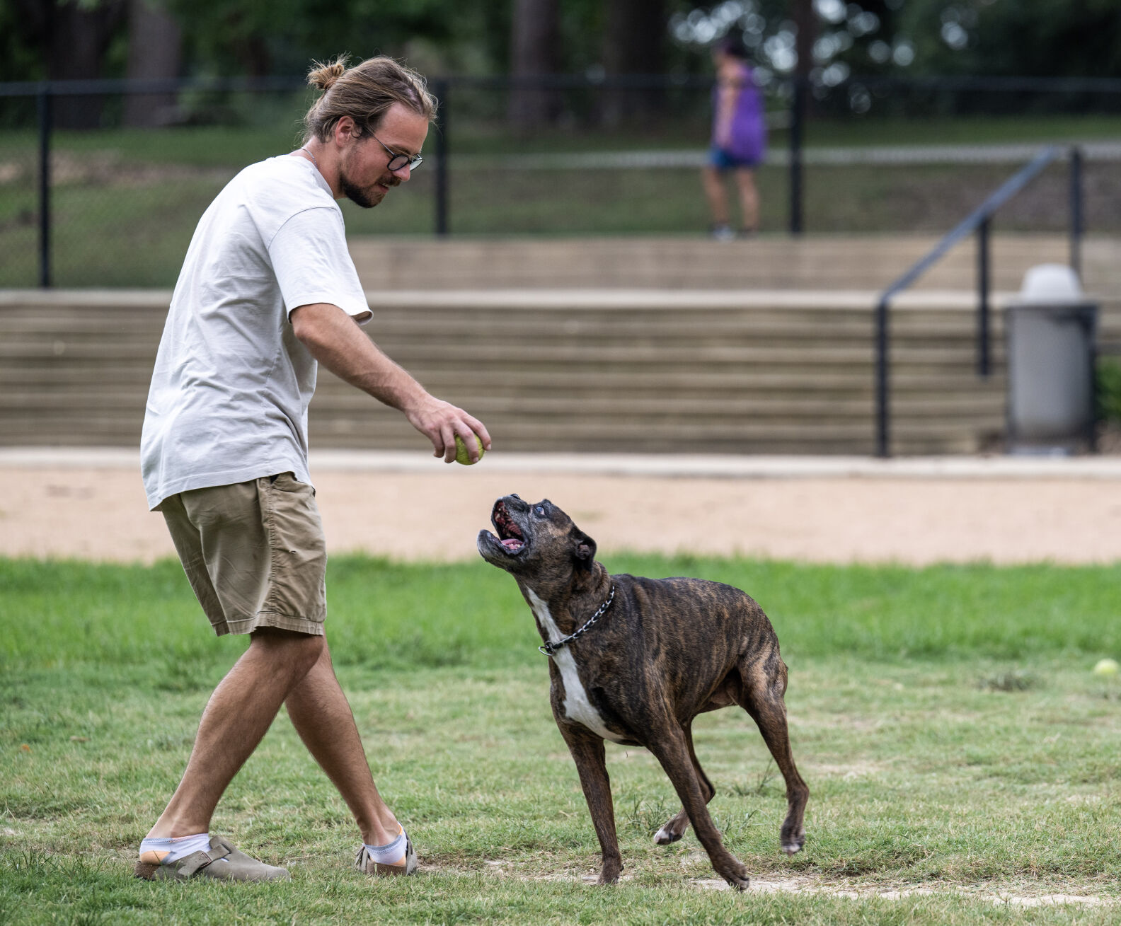 5 tips to help pets that have packed on extra summer pounds | Entertainment/Life