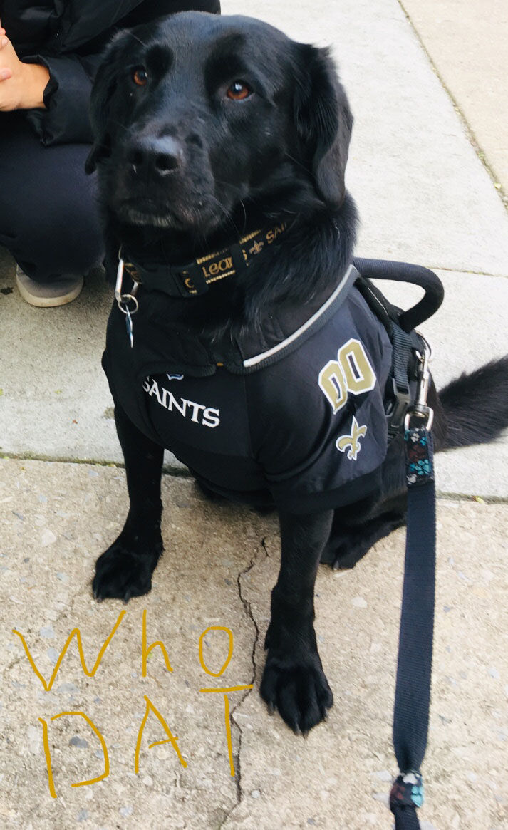 The Who-Dog Nation: See photos of the New Orleans Saints' furry