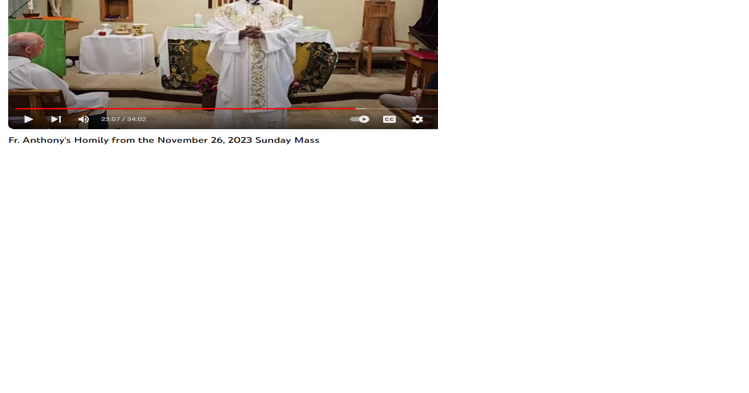 Luling priest removed by Archdiocese of New Orleans after anti-LGBTQ comments in sermon - Vimarsana News