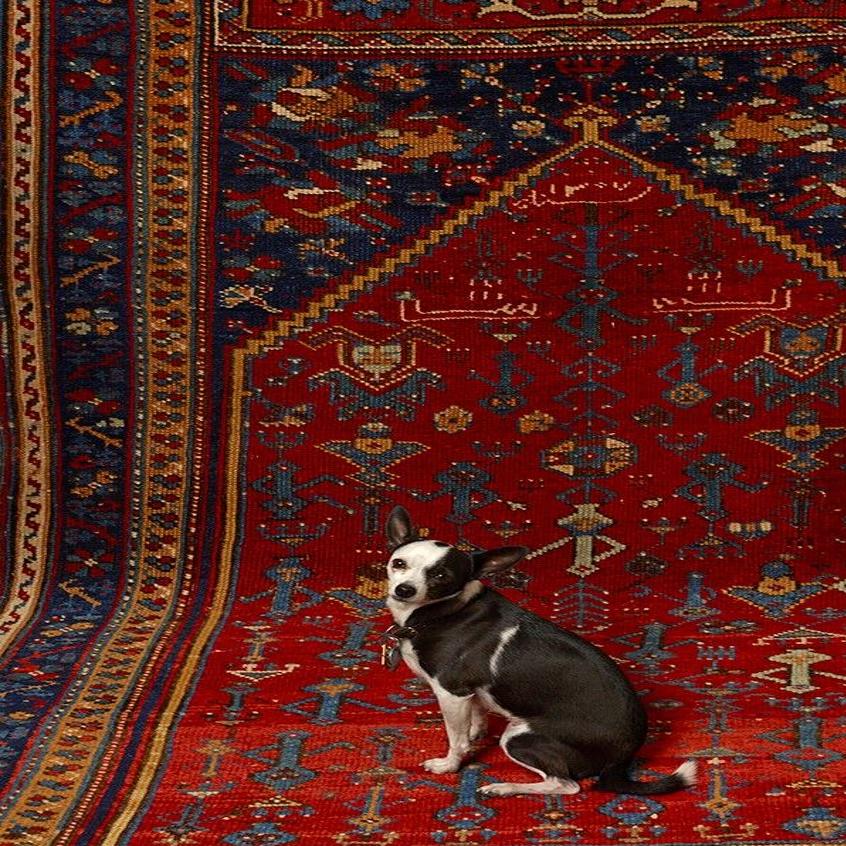 What to know about Oriental rugs to pin down the right price