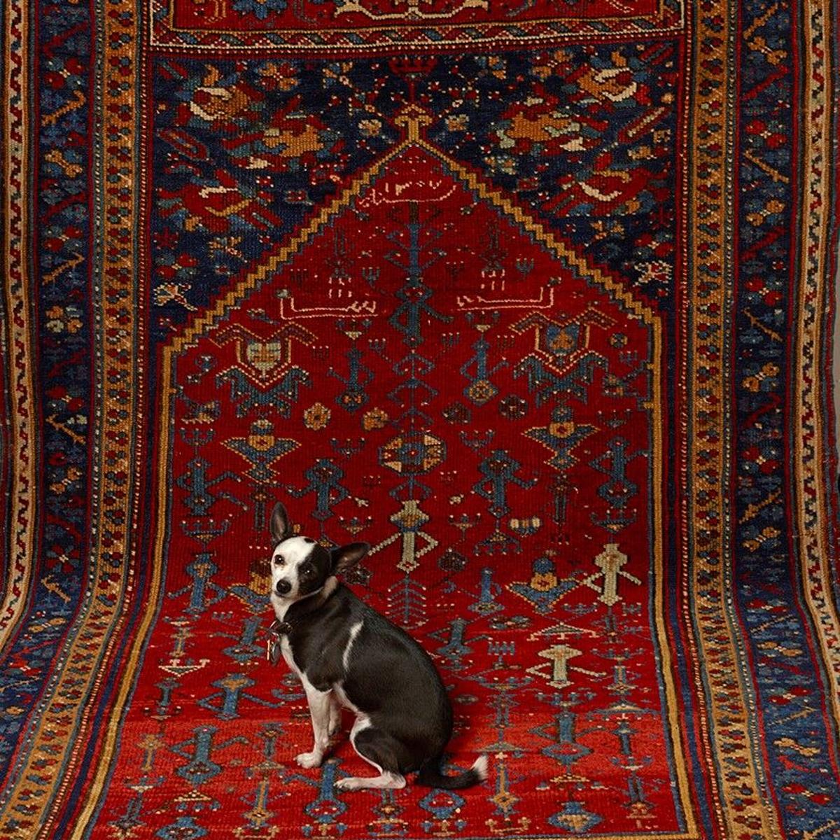 What to know about Oriental rugs to pin down the right price, Home/Garden