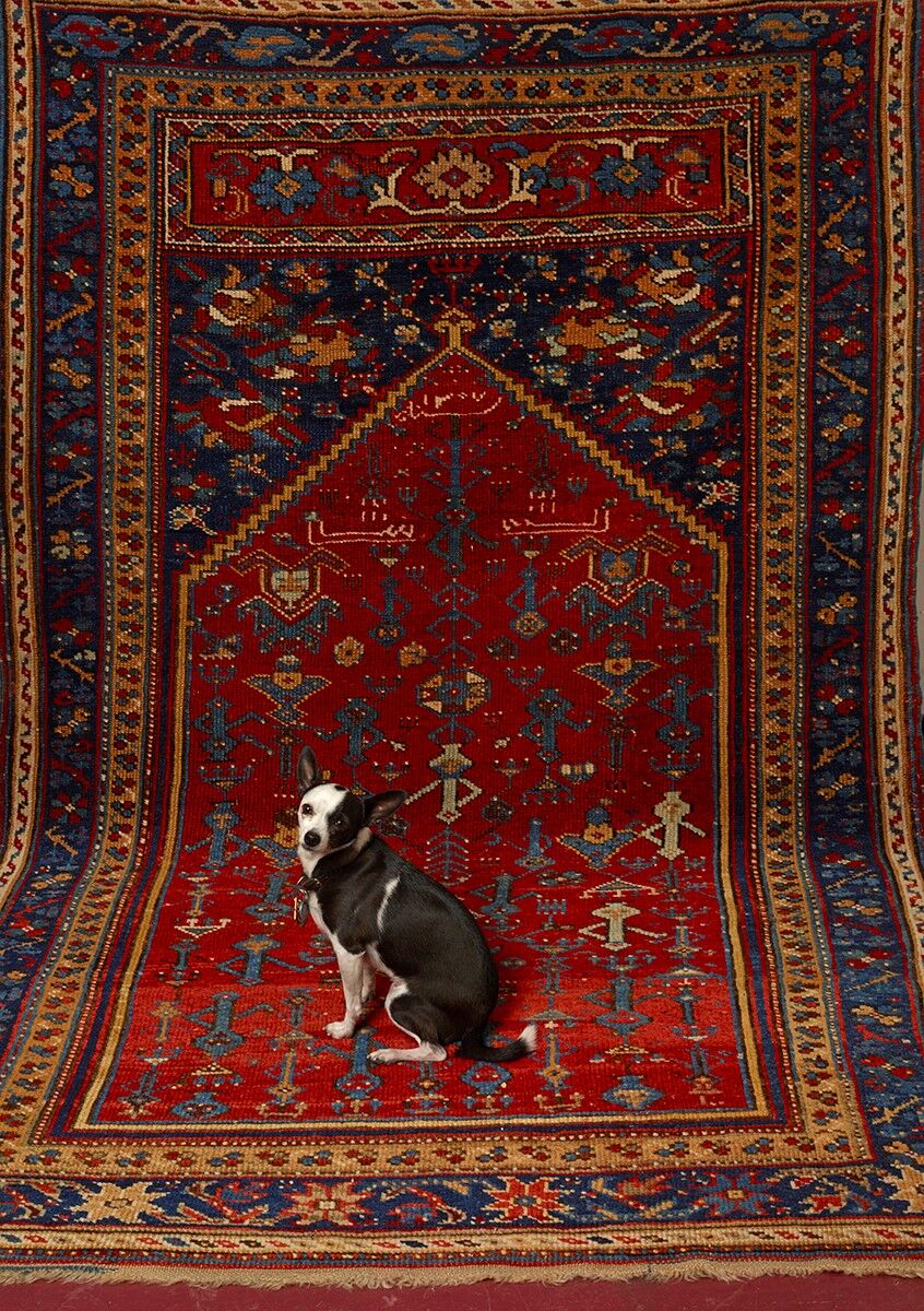 Expert tips can help you gauge the quality of an Oriental rug, but loving it is the most important thing