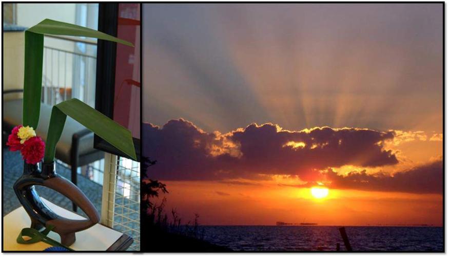 Art League’s Art and Bloom show a celebration of springtime beauty St