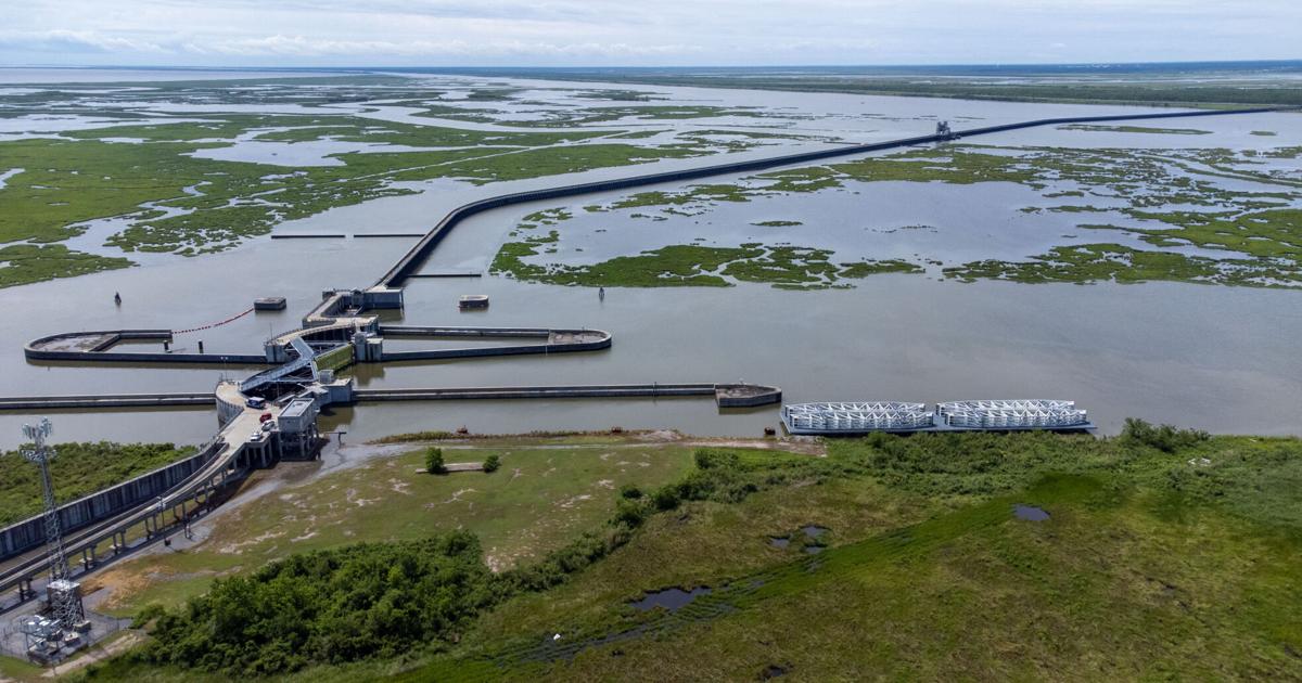 Gov. Jeff Landry ousts New Orleans flood agency board member who opposed controversial changes