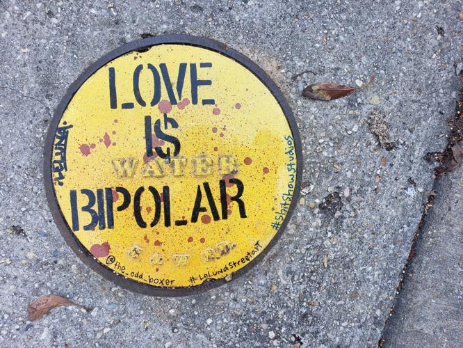 love is bipolar.jpg