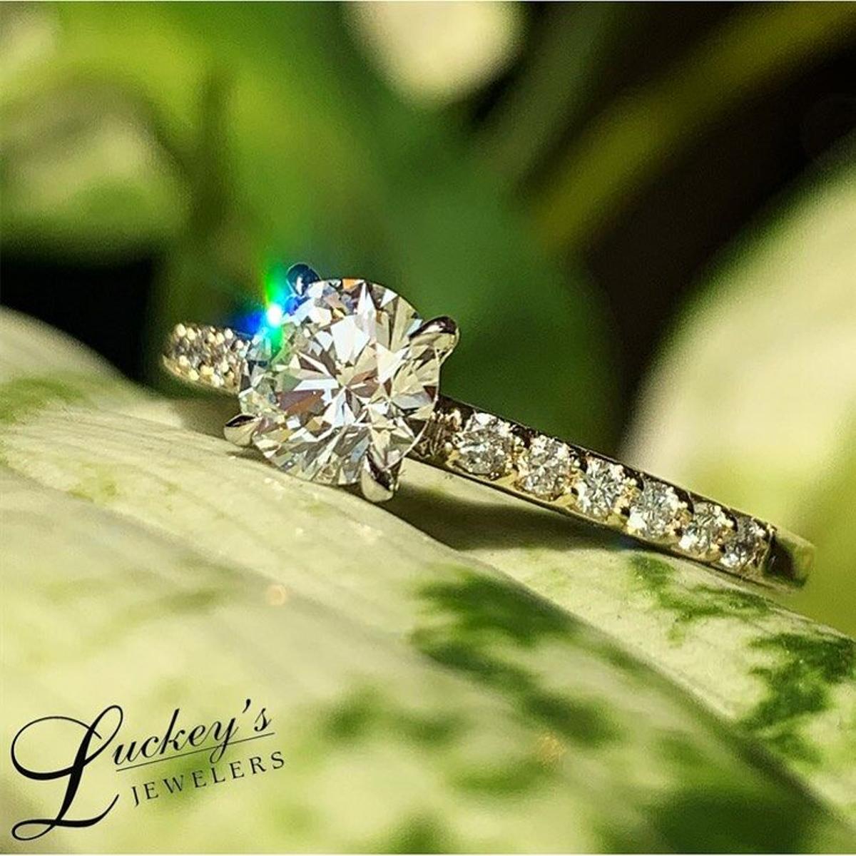 Houma Jeweler Keeps Focus On Enjoyable Hassle Free Shopping As Customers Seek The Perfect Holiday Gifts Sponsored Luckey S Jewelers Nola Com