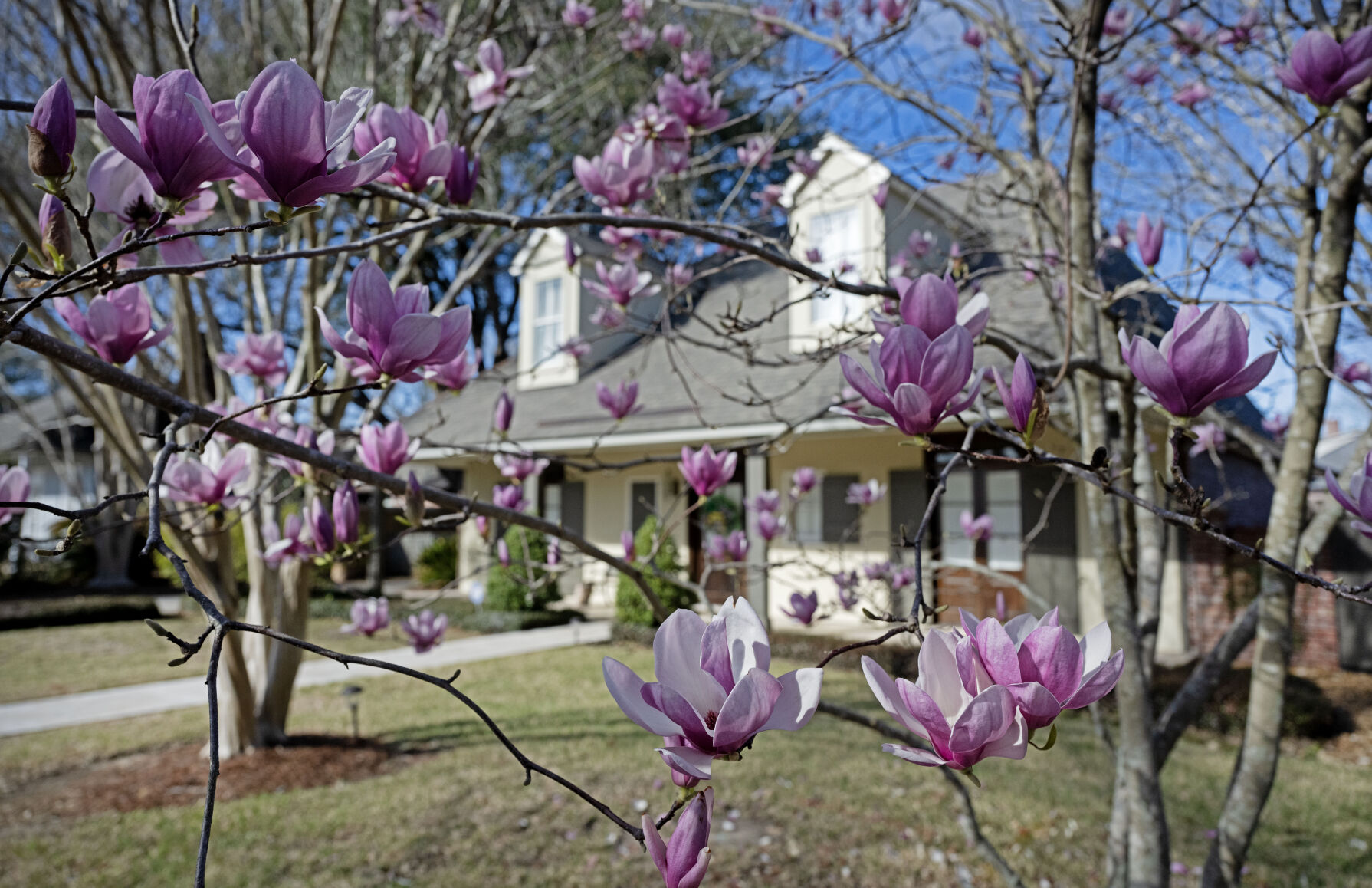 Home/Garden | nola.com