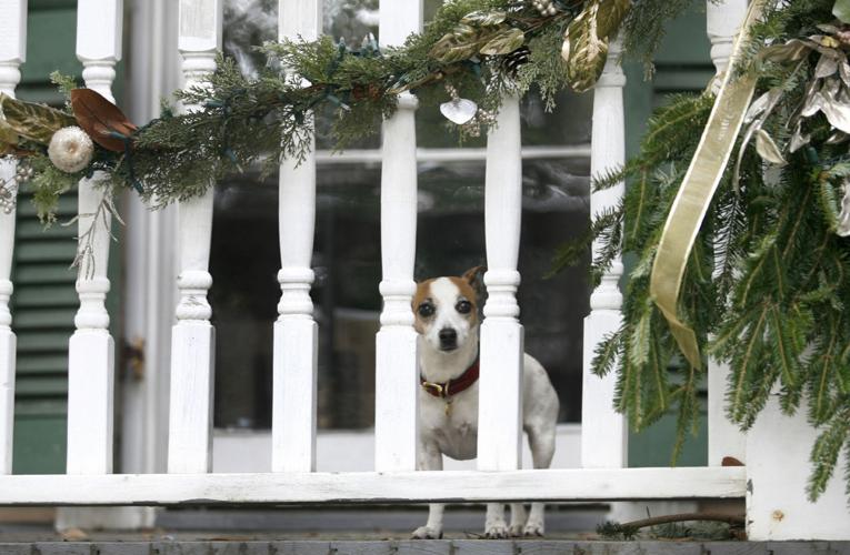 Life support for holiday greenery how to keep trees, wreaths and