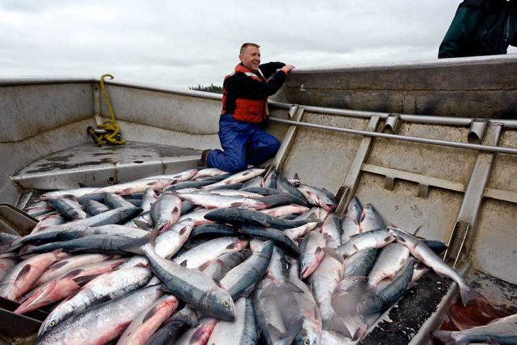 Why Alaska's wild salmon season matters in New Orleans, Where NOLA Eats