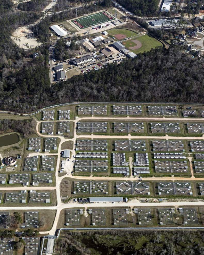 The littleknown Tulane primate center What sort of research is done