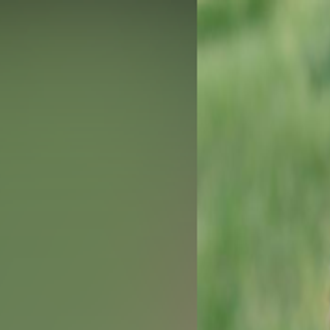 2018 New Orleans debutantes: Making a career of events takes 