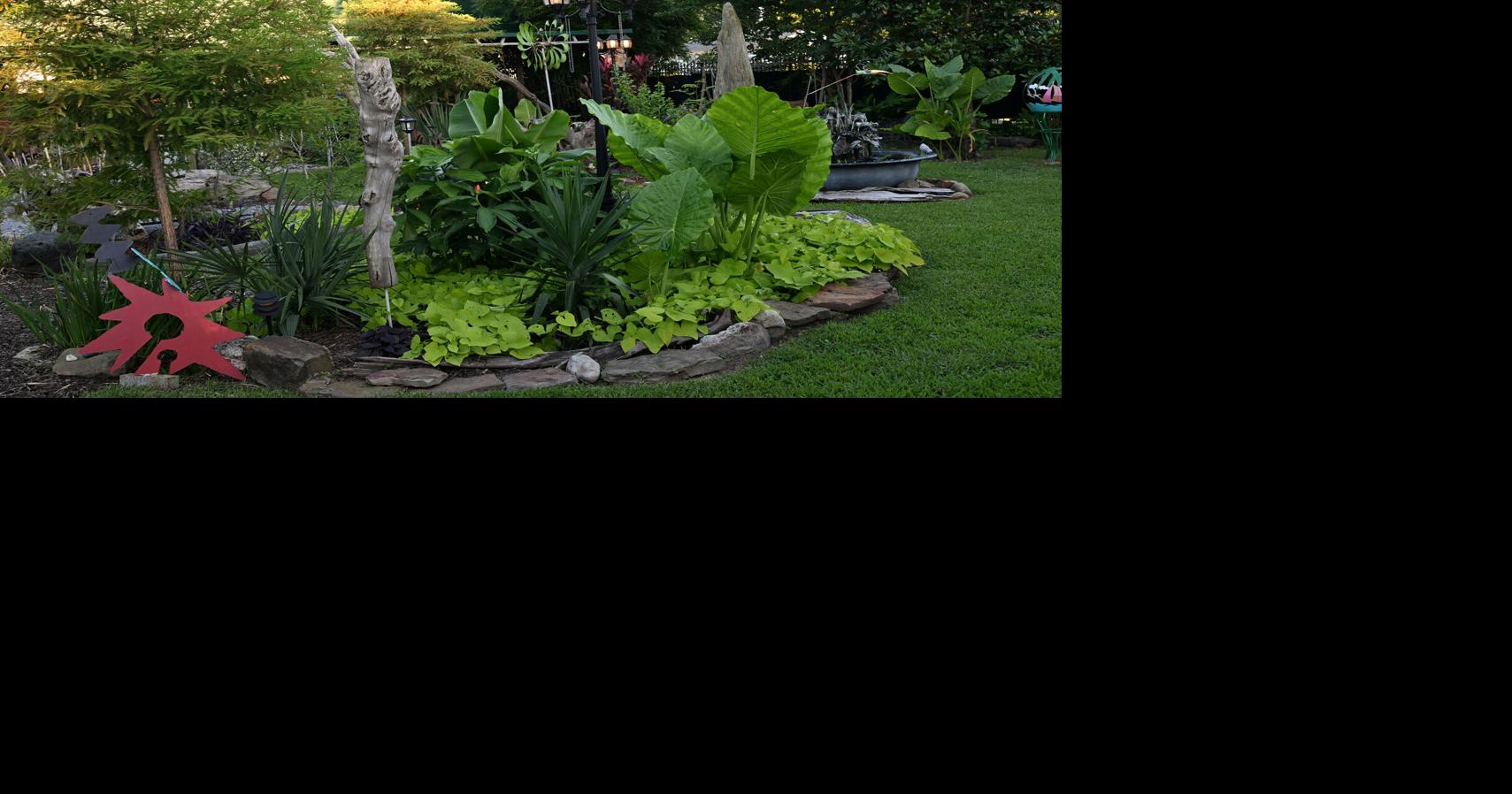 This creative family's Arabi home has a beautiful garden with fountains, driftwood sculptures