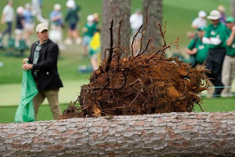 Trees fall at Augusta National during play at the Masters Sports