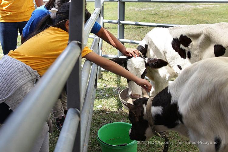 LSU AgCenter hosts AgMagic on the River at Docville Farm | Education ...