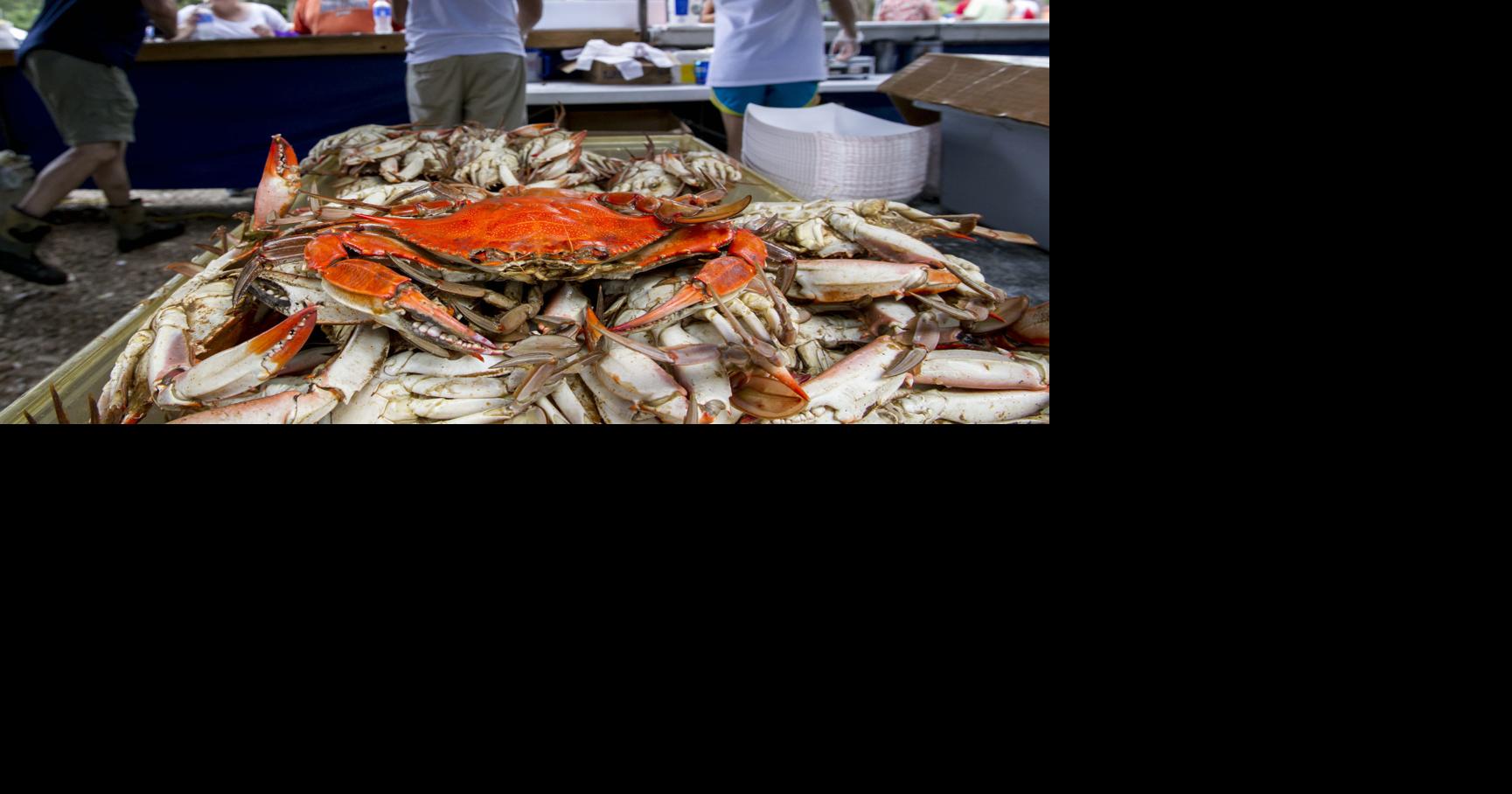 Crab Fest spices up to the local entertainment mix St. Tammany