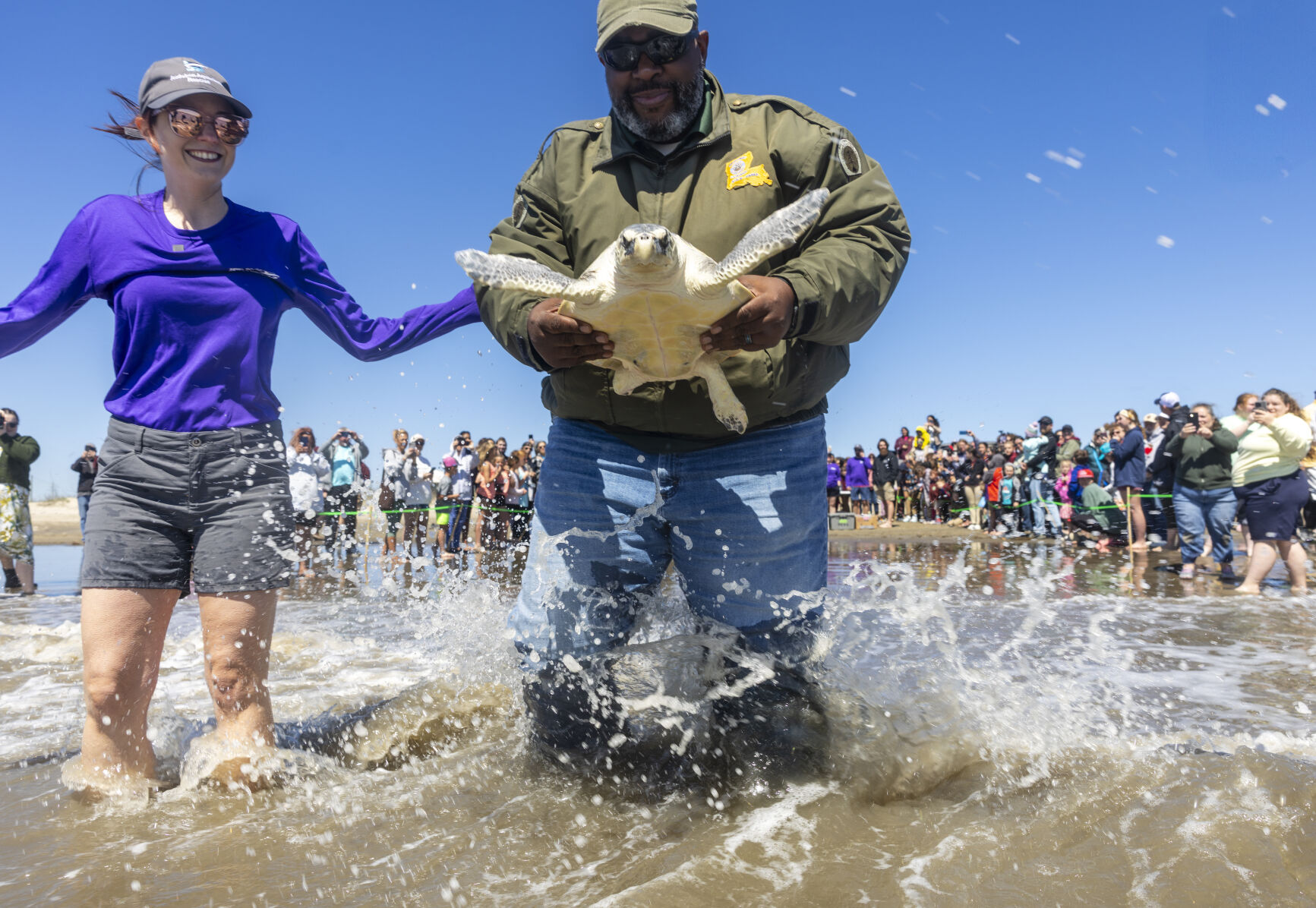 Photos: Endangered sea turtles released back into the Gulf off the ...