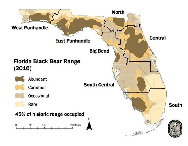 Black bear range in Florida