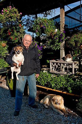 Harold's Indoor Outdoor Plants | Design and Dcor | nola.com