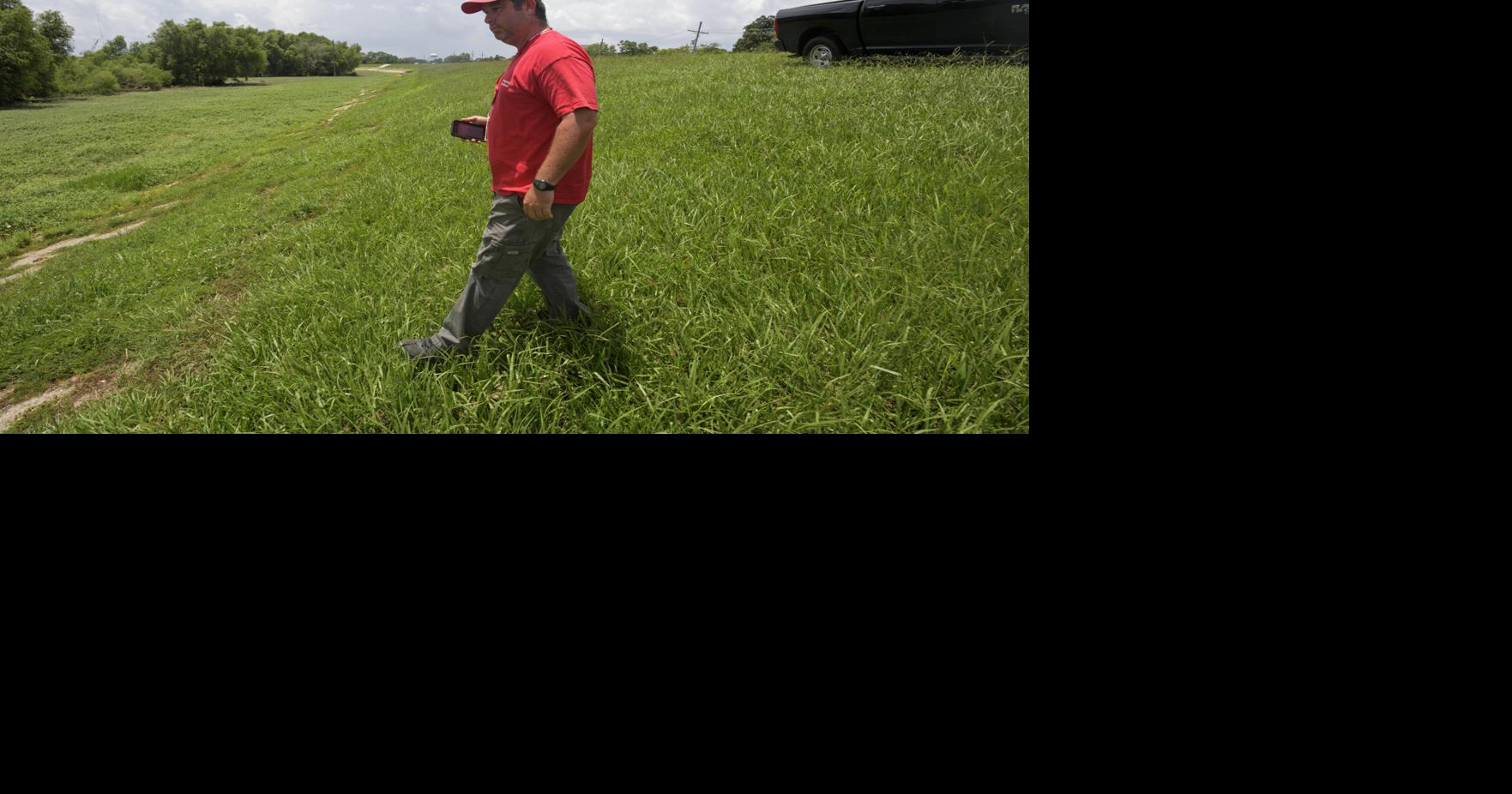Federal cuts threatened to curtail New Orleans area levee inspections. Money has now been found.