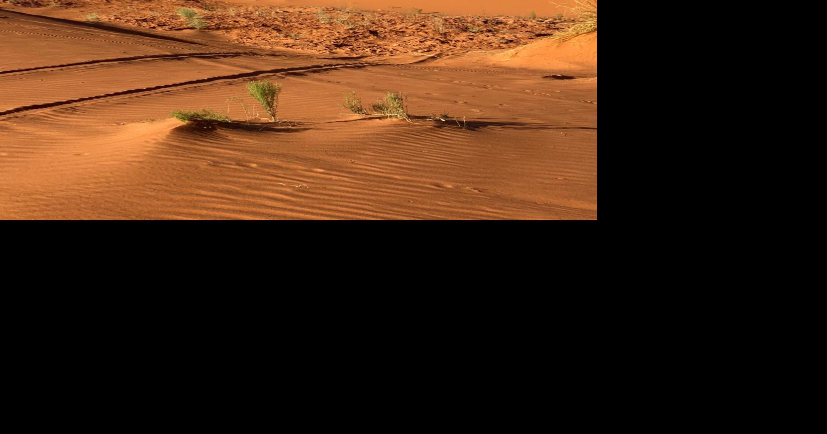 Travel insurance won’t pay for canceled trip after death | Entertainment/Life