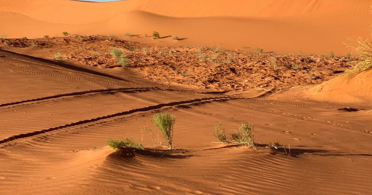 Travel insurance won’t pay for canceled trip after death | Entertainment/Life Travel insurance won’t pay for canceled trip after death | Entertainment/Life