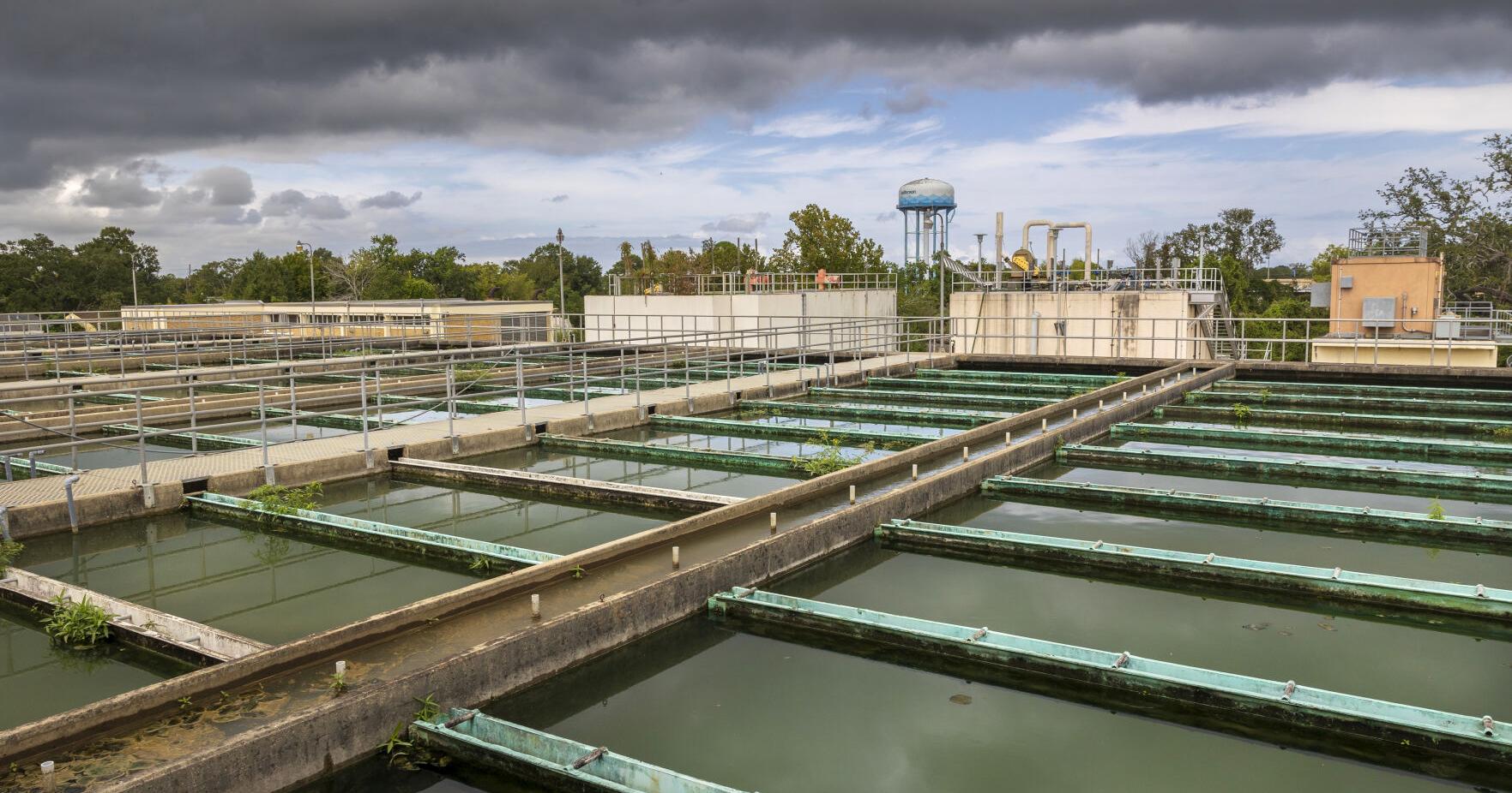 Permanent fix for New Orleans salt intrusion would be costly | Environment - Vimarsana News