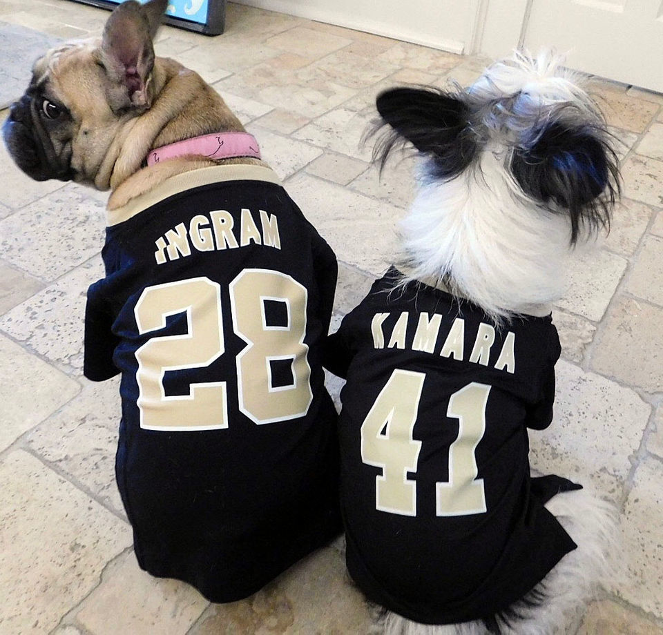 NFL New Orleans Saints Dog Jersey, Size: Large. Best Football Jersey  Costume for Dogs & Cats. Licensed Jersey Shirt.