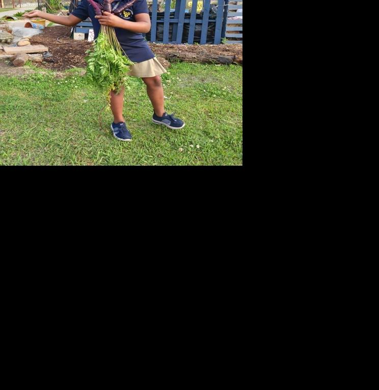 Belle Chasse Academy victory garden teaches life skills Crescent City