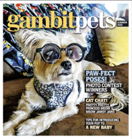 Gambit Pets: Summer 2023