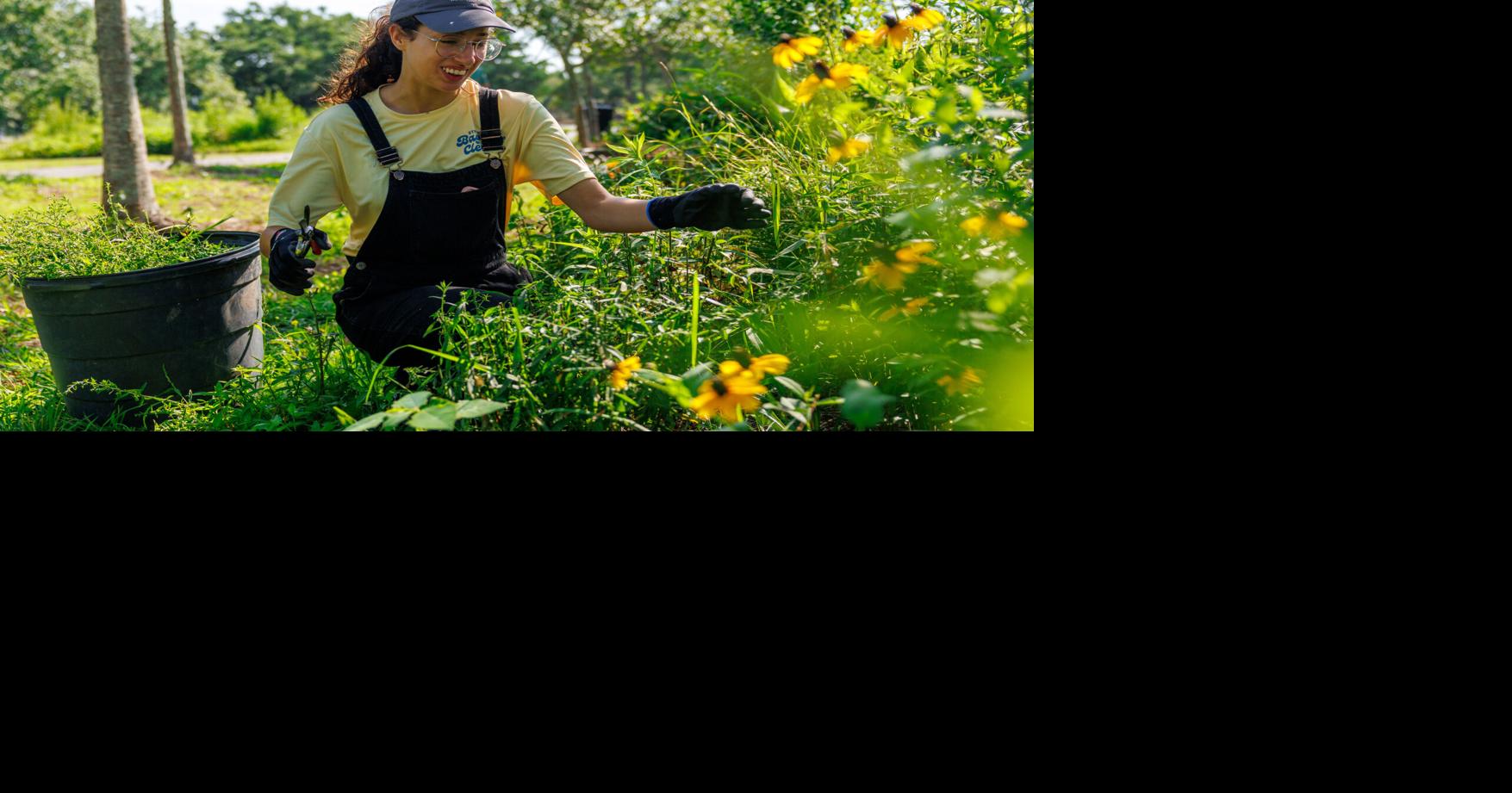Helped by volunteers, New Orleans City Park adds native plants around Big Lake