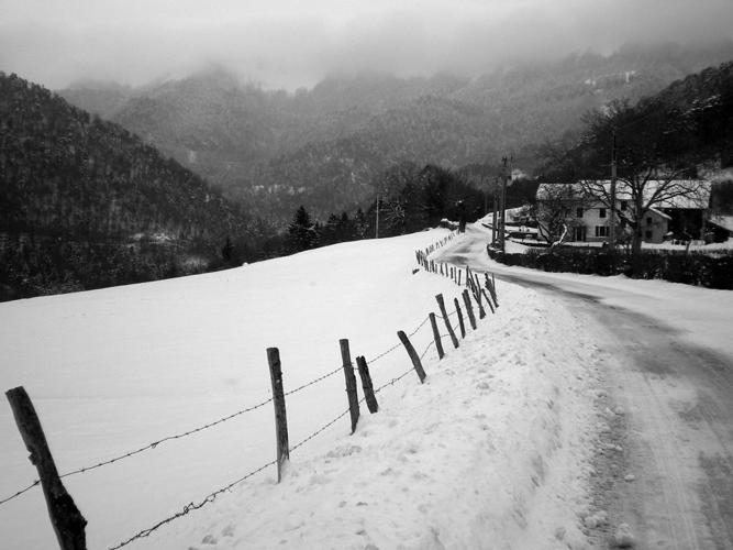 Slidell Photo Club holds digital competition St. Tammany community