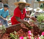 Hot and miserable? So are your plants. Here's how to pick plants for late summer heat.