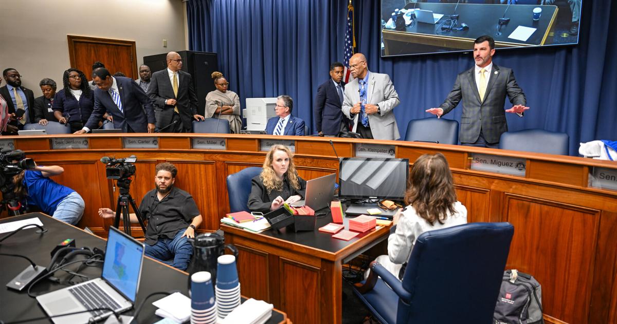 Hearing over Louisiana redistricting turns fiery as senators spar over racism accusations