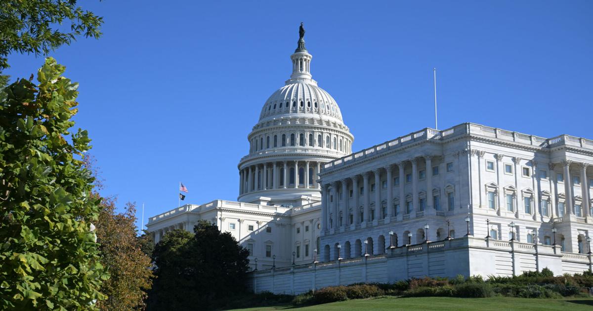 As Louisiana’s congressional elections shape up, see who’s raising the most money