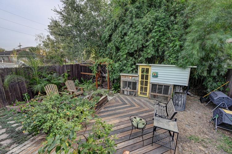 Reed 17 November 7,2023