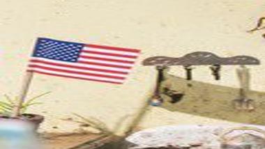 New Orleans Is The Most Roach Infested City In The U S Report Says But Why Home Garden Nola Com