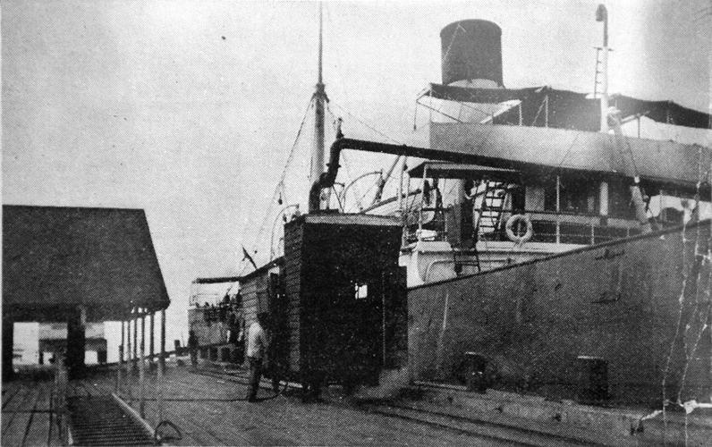 How New Orleans cured itself of yellow fever 300 for 300