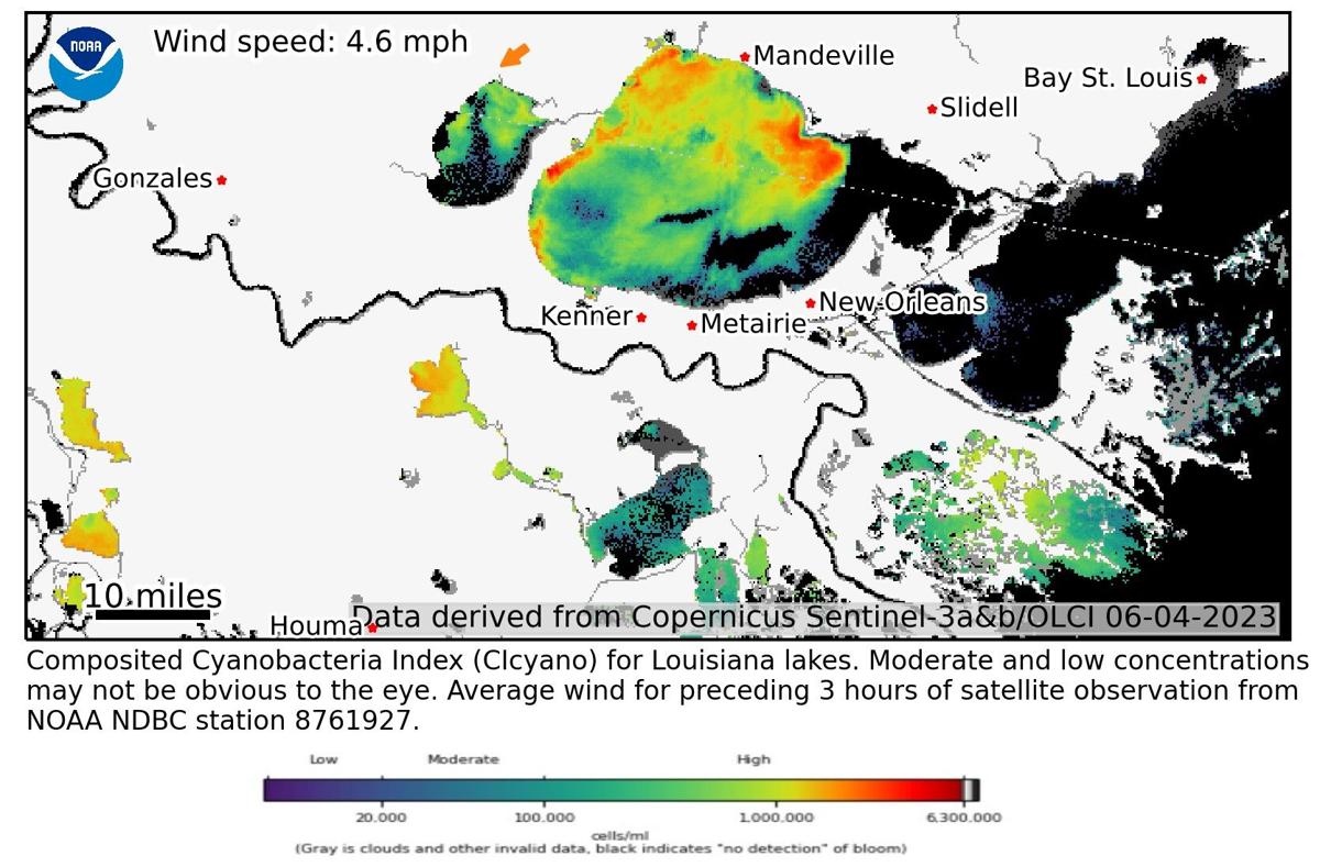 Warning for Lake Pontchartrain over potential harmful algae