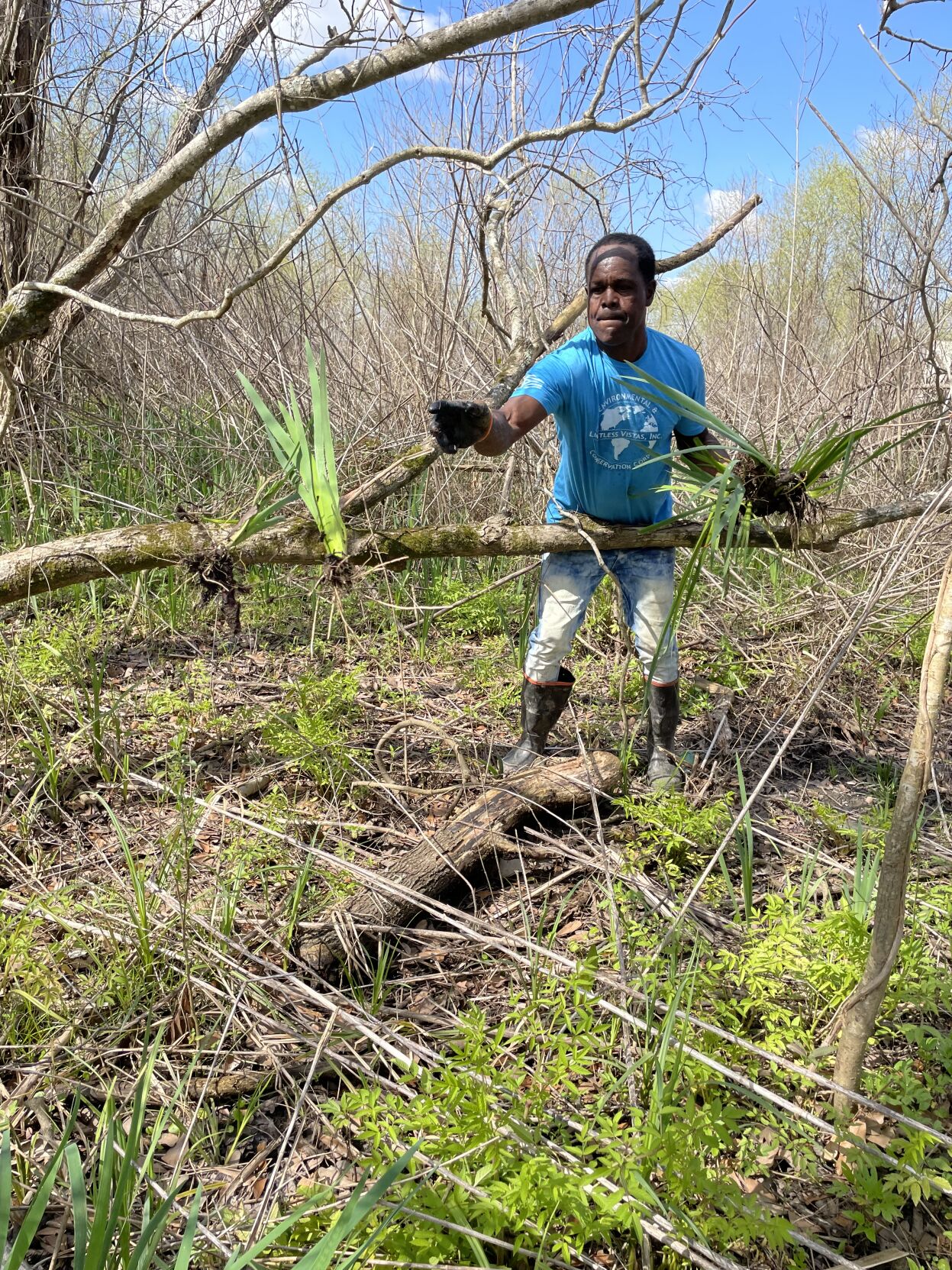 Gary Salathe is out to save the native Louisiana iris Louisiana