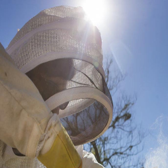 Louisiana Beekeepers Association - Resource