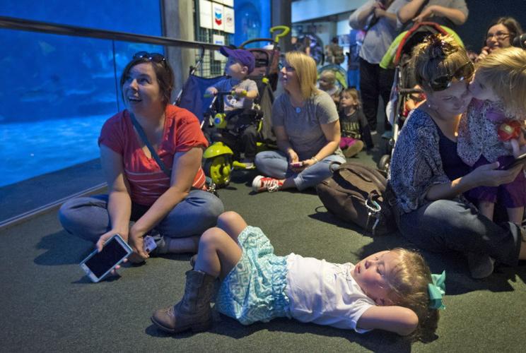 Weeki Wacci Weeki Wachi mermaids make waves at the Audubon Aquarium | Entertainment ...