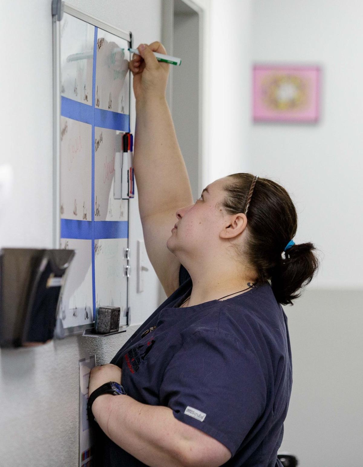 Pet Project Low Cost Veterinary Clinic Offers Creatures Comfort